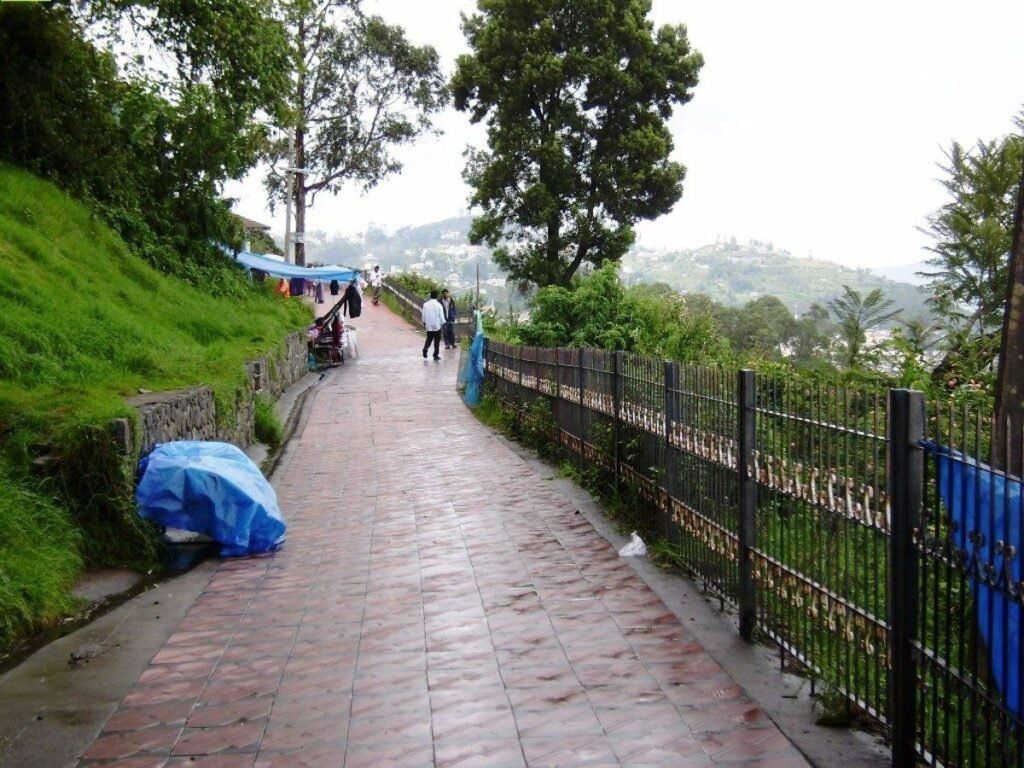 5 Popular Places to Visit in Kodaikanal
