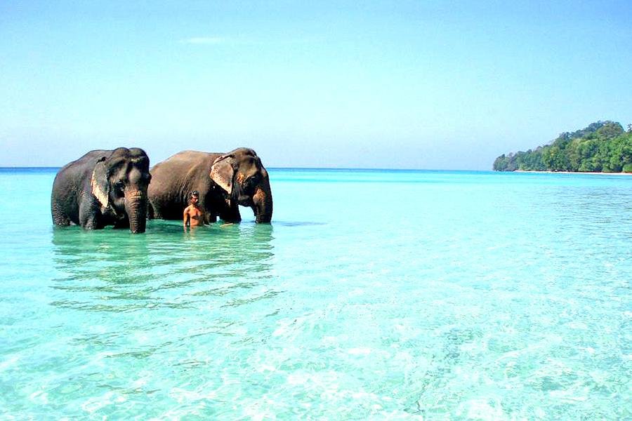 Book Elephant Beach Trekking Trip in Havelock Island