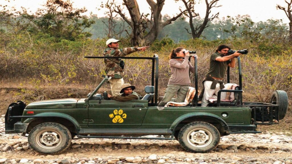 Make your own Jungle Book- Explore wildlife safari this season at Jim Corbett Wildlife Sanctuary
