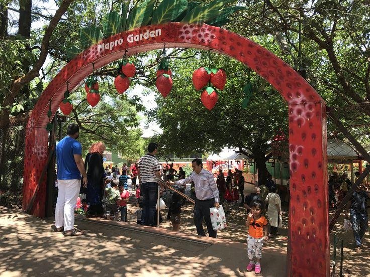 Mapro Gardens | Mahabaleshwar, Famous places, Hill station