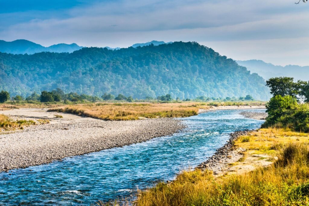 Nature scape of Ram Ganga river flowing at Jim Corbett National Park